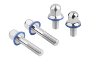 Śruby z łbem sześciokątnym ze stali nierdzewnej z pierścieniem uszczelniającym w wersji Hygienic DESIGN