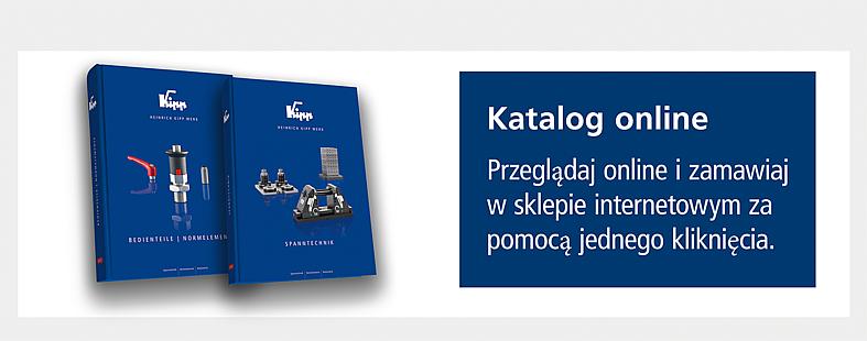 eCatalogue/katalogi drukowane